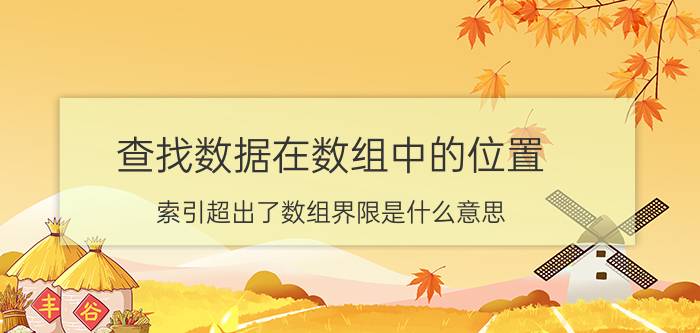 查找数据在数组中的位置 索引超出了数组界限是什么意思？